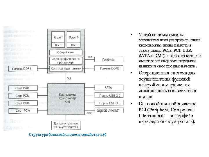  • У этой системы имеется множество шин (например, шина кэш памяти, шина памяти,