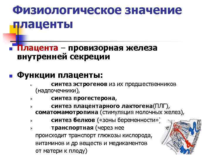 Физиологическое значение плаценты n n Плацента – провизорная железа внутренней секреции Функции плаценты: Ø