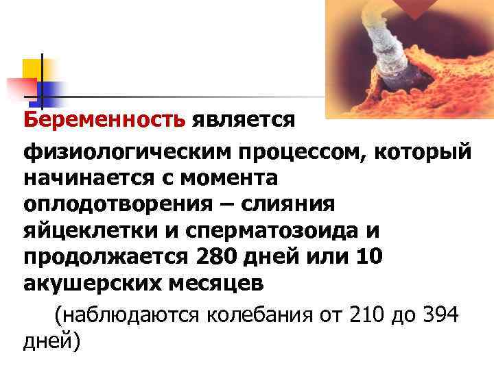 Беременность является физиологическим процессом, который начинается с момента оплодотворения – слияния яйцеклетки и сперматозоида
