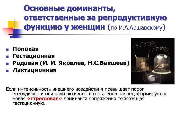 Основные доминанты, ответственные за репродуктивную функцию у женщин (по И. А. Аршавскому) n n