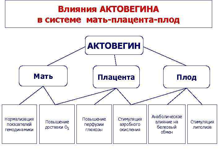 Влияния АКТОВЕГИНА в системе мать-плацента-плод АКТОВЕГИН Мать Нормализация показателей гемодинамики Повышение доставки О 2