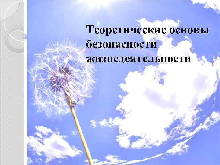 Теоретические основы безопасности жизнедеятельности 