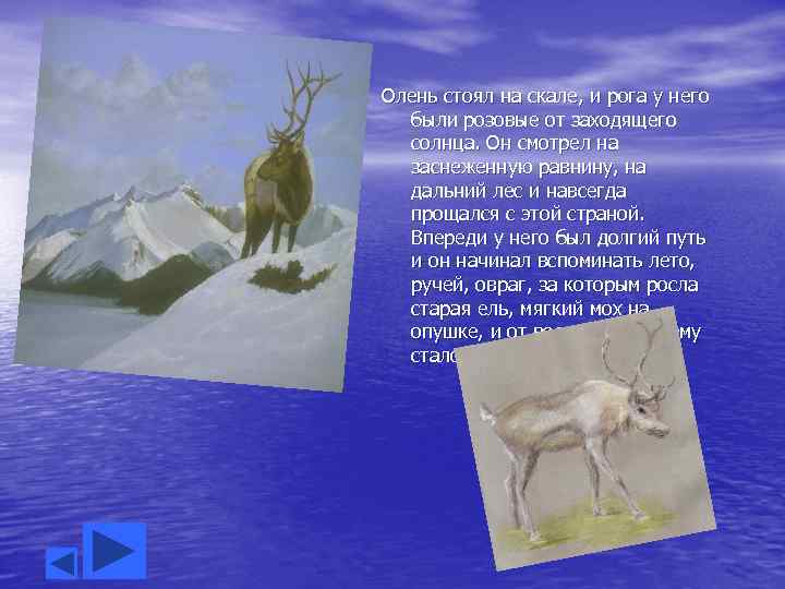 Олень стоял на скале, и рога у него были розовые от заходящего солнца. Он