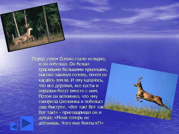 Перед утром Оленю стало холодно, и он побежал. Он бежал красивыми большими прыжками, высоко
