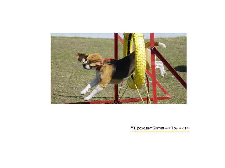 * Проходит 2 этап – «Прыжки» 