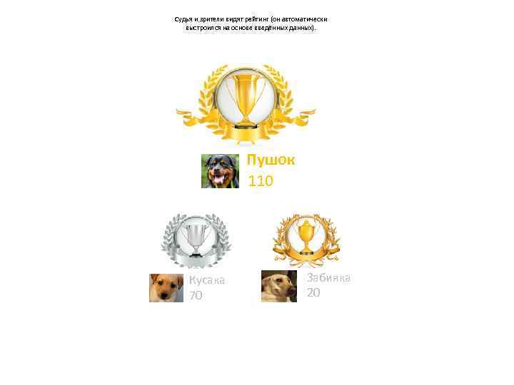 Судья и зрители видят рейтинг (он автоматически выстроился на основе введённых данных). Пушок 110