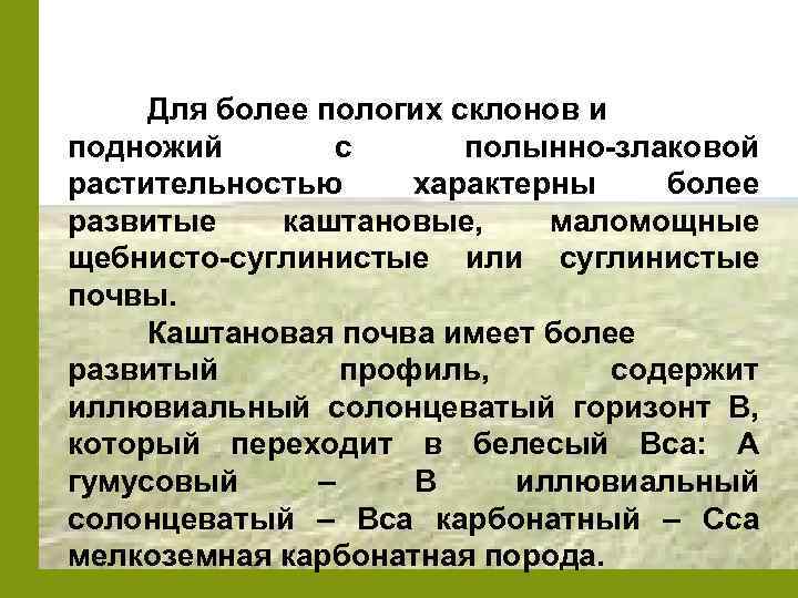 Для более пологих склонов и подножий с полынно-злаковой растительностью характерны более развитые каштановые, маломощные