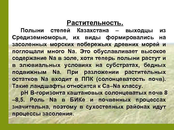 Растительность. Полыни степей Казахстана – выходцы из Средиземноморья, их виды формировались на засоленных морских
