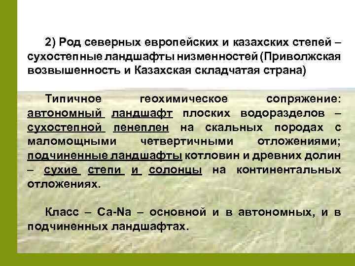 2) Род северных европейских и казахских степей – сухостепные ландшафты низменностей (Приволжская возвышенность и