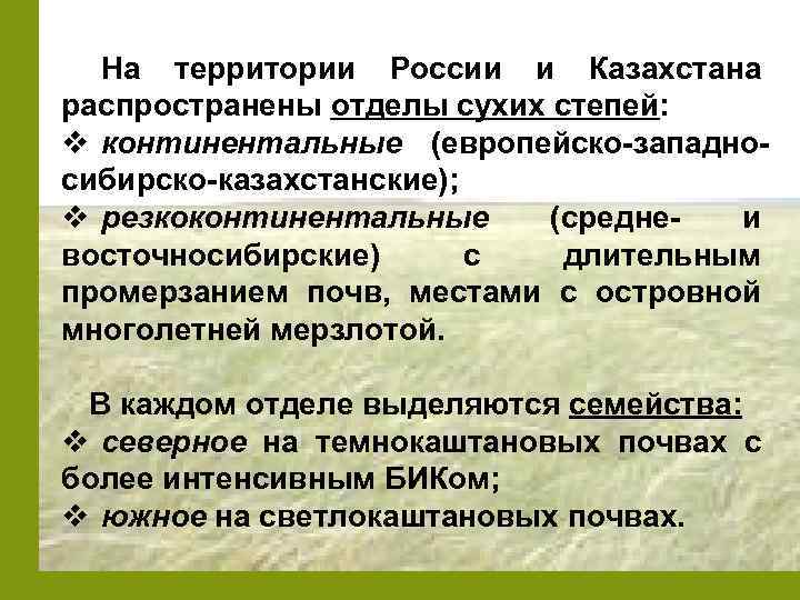 На территории России и Казахстана распространены отделы сухих степей: v континентальные (европейско-западносибирско-казахстанские); v резкоконтинентальные