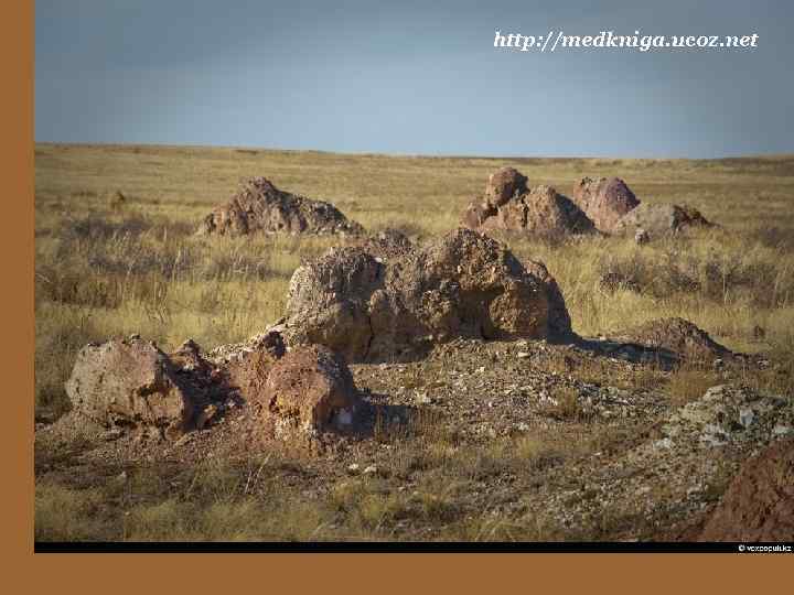 http: //medkniga. ucoz. net 