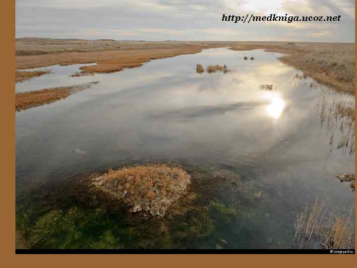 http: //medkniga. ucoz. net 