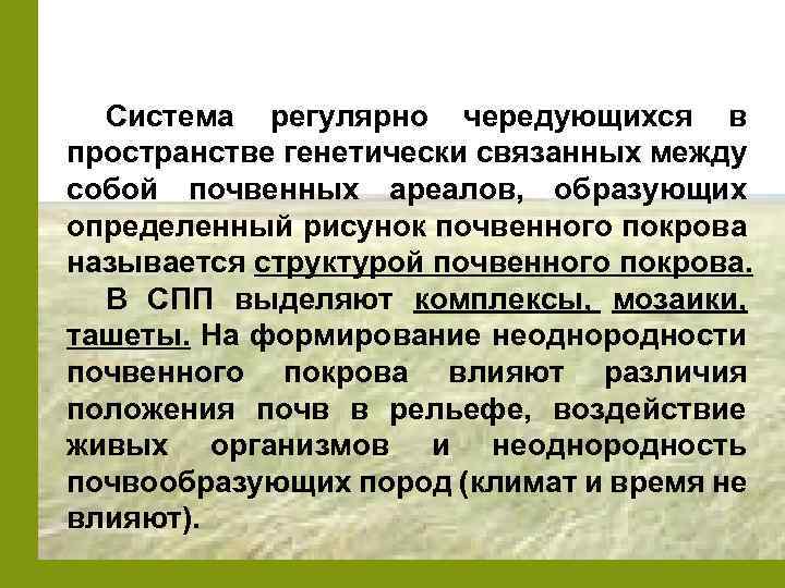 Система регулярно чередующихся в пространстве генетически связанных между собой почвенных ареалов, образующих определенный рисунок