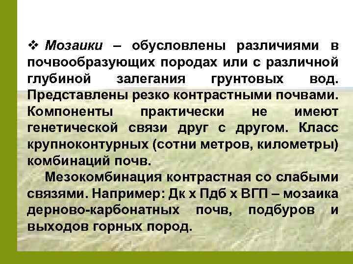 v Мозаики – обусловлены различиями в почвообразующих породах или с различной глубиной залегания грунтовых