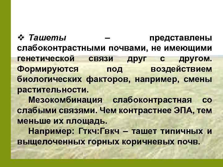 v Ташеты – представлены слабоконтрастными почвами, не имеющими генетической связи друг с другом. Формируются