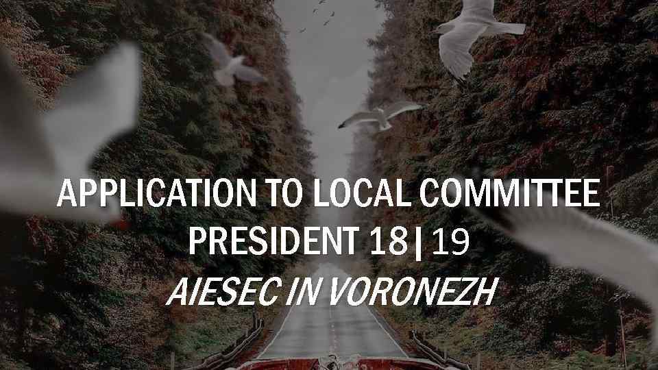 APPLICATION TO LOCAL COMMITTEE PRESIDENT 18|19 AIESEC IN VORONEZH 