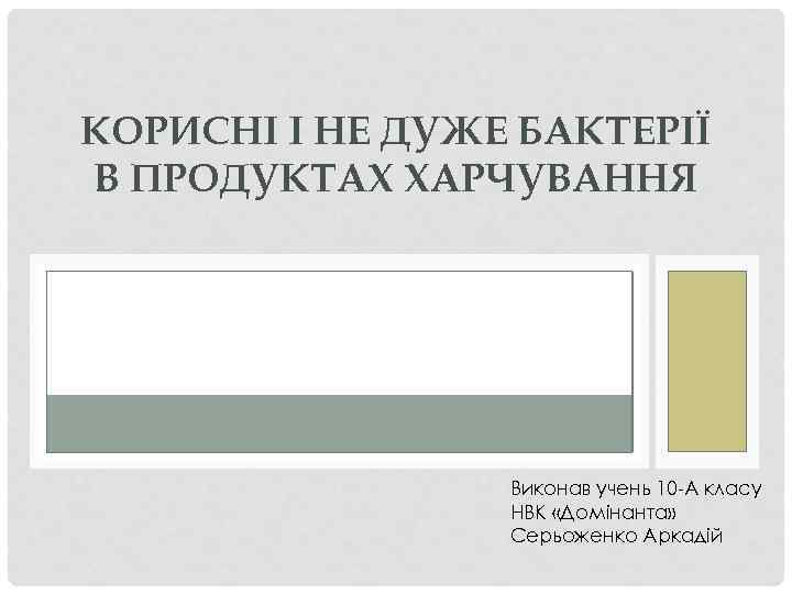 КОРИСНІ І НЕ ДУЖЕ БАКТЕРІЇ В ПРОДУКТАХ ХАРЧУВАННЯ Виконав учень 10 -А класу НВК