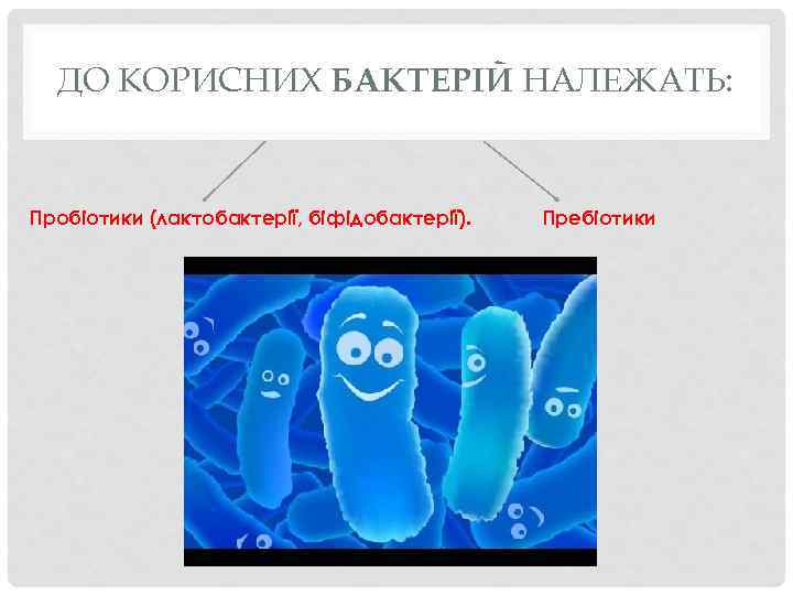 ДО КОРИСНИХ БАКТЕРІЙ НАЛЕЖАТЬ: Пробіотики (лактобактерії, біфідобактерії). Пребіотики 