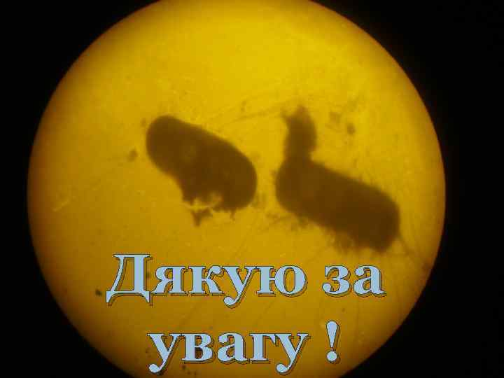 Дякую за увагу ! 