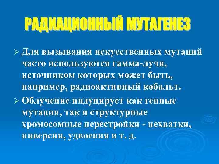 Ø Для вызывания искусственных мутаций часто используются гамма-лучи, источником которых может быть, например, радиоактивный