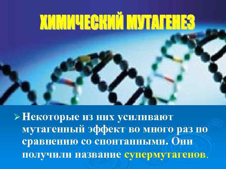 Ø Некоторые из них усиливают мутагенный эффект во много раз по сравнению со спонтанными.