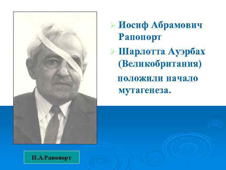 Ø Иосиф Абрамович Рапопорт Ø Шарлотта Ауэрбах (Великобритания) положили начало мутагенеза. изучени ю химического