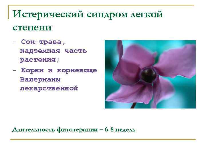 Истерический синдром легкой степени - Сон-трава, надземная часть растения; - Корни и корневище Валерианы