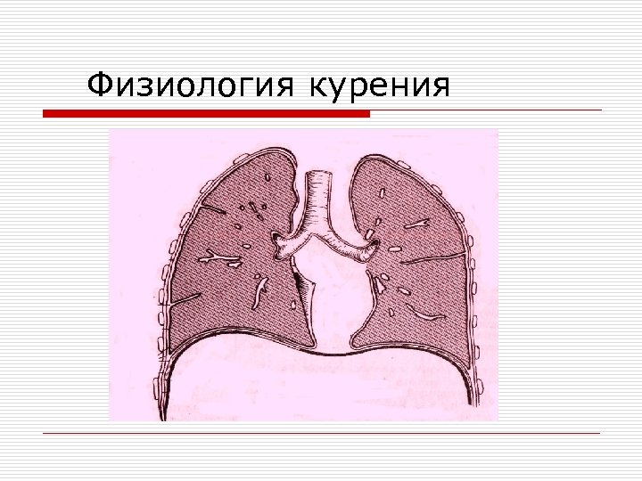 Физиология курения 