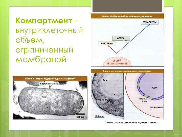 Физические и географические параметры компартмента образец