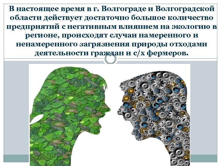В настоящее время в г. Волгограде и Волгоградской области действует достаточно большое количество предприятий