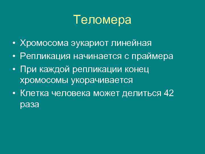 Теломера • Хромосома эукариот линейная • Репликация начинается с праймера • При каждой репликации