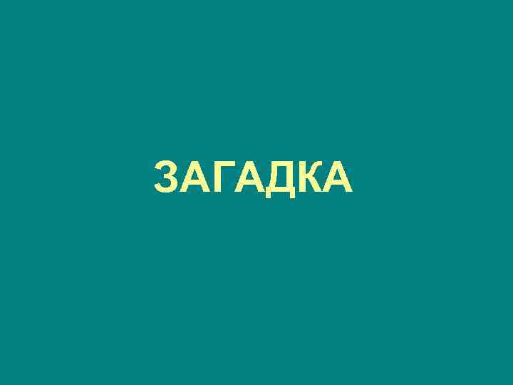 ЗАГАДКА 