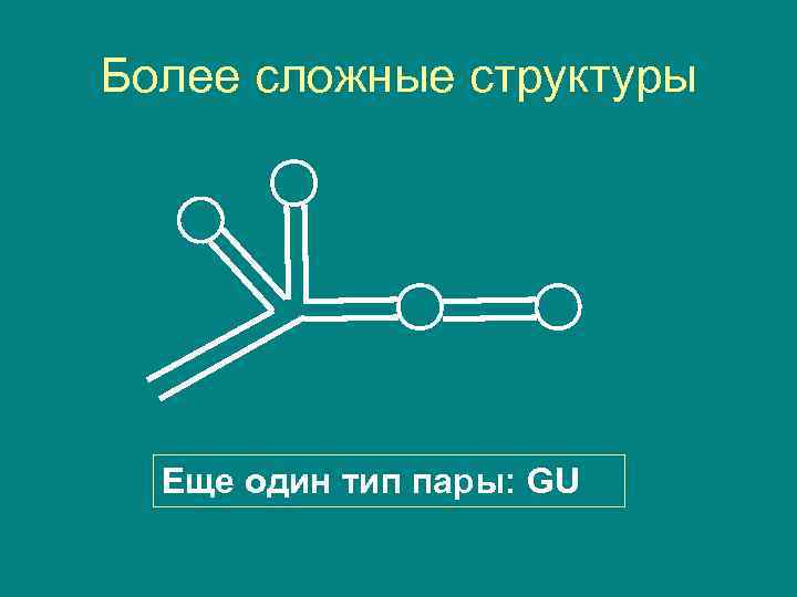 Более сложные структуры Еще один тип пары: GU 