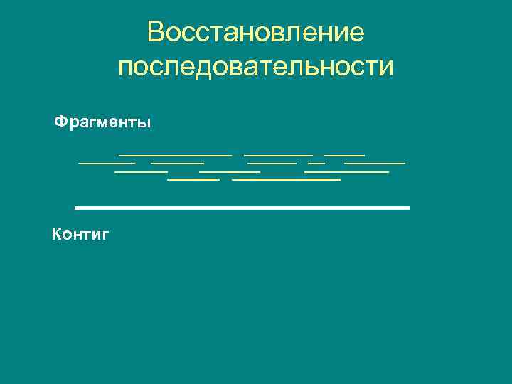 Восстановление последовательности Фрагменты Контиг 