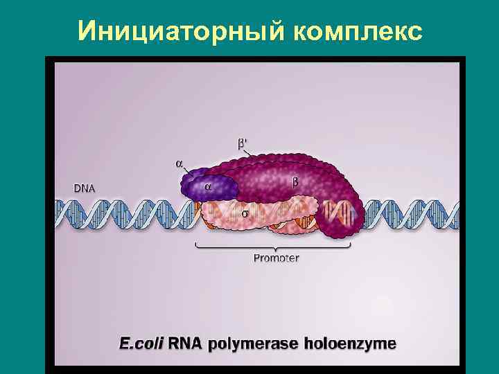 Инициаторный комплекс 