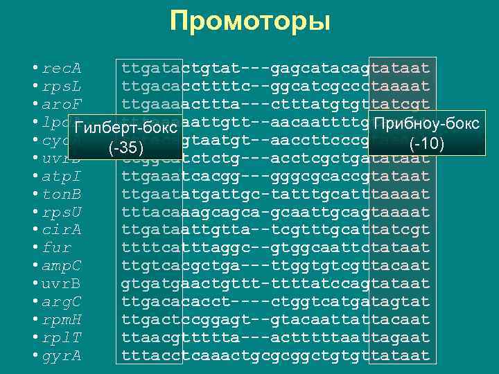 Промоторы • rec. A ttgatactgtat---gagcatacagtataat • rps. L ttgacaccttttc--ggcatcgccctaaaat • aro. F ttgaaaacttta---ctttatgtgttatcgt •