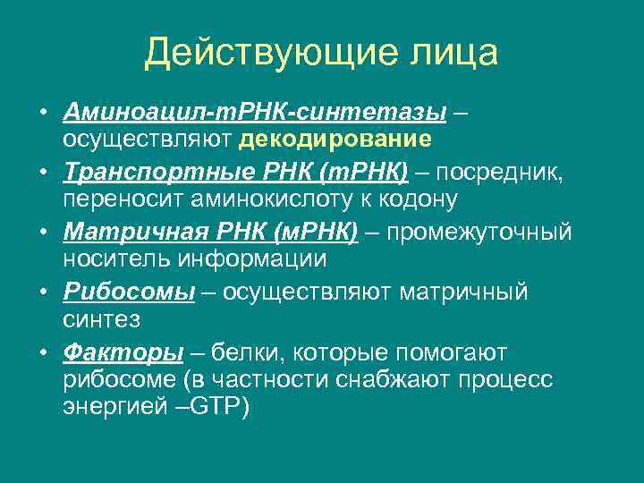 Действующие лица • Аминоацил-т. РНК-синтетазы – осуществляют декодирование • Транспортные РНК (т. РНК) –