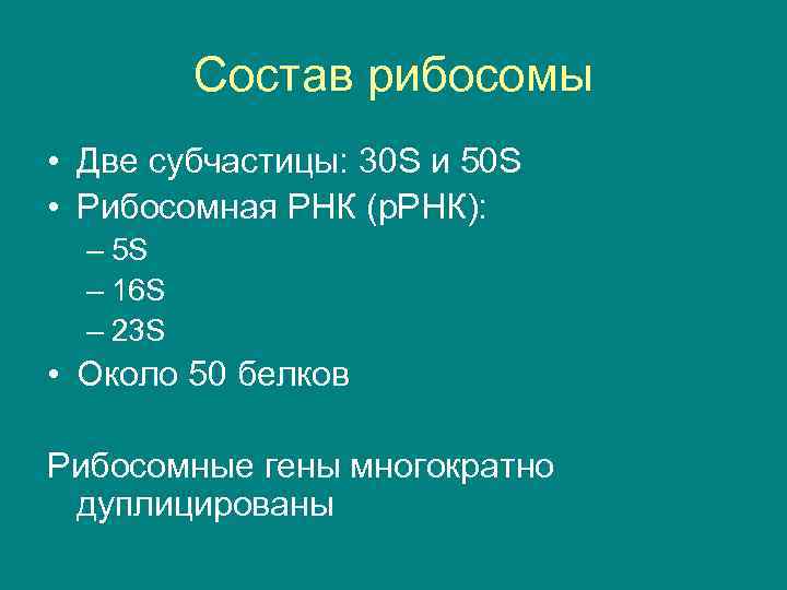 Состав рибосомы • Две субчастицы: 30 S и 50 S • Рибосомная РНК (р.