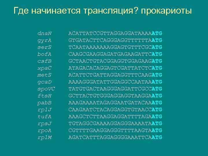 Где начинается трансляция? прокариоты dna. N gyr. A ser. S bof. A csf. B