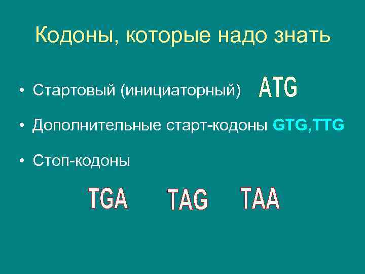 Стоп кодон. Старт кодон и стоп кодон. Старт кодон ДНК. Старт и стоп кодоны РНК. Стоп-кодон это в биологии.