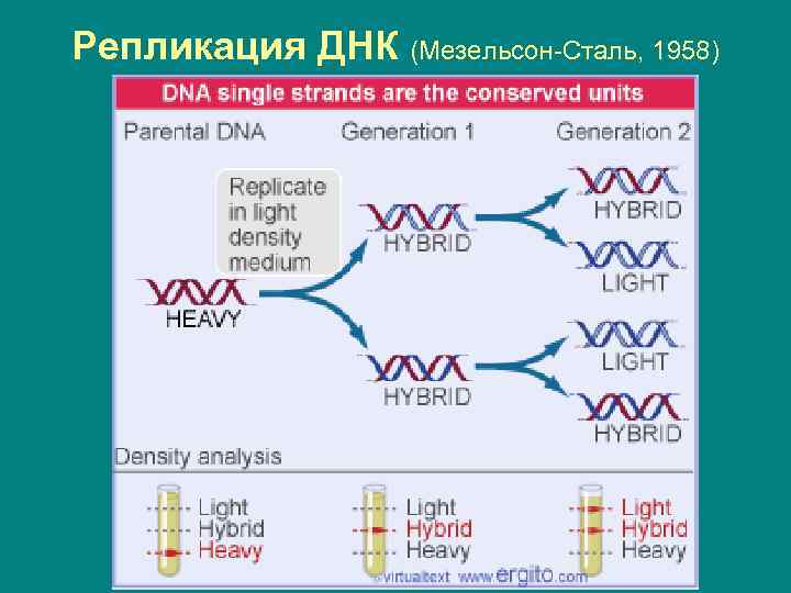 Какие методы использовали мезельсон и сталь