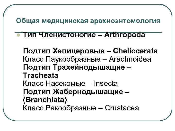 Общая медицинская арахноэнтомология l Тип Членистоногие – Arthropoda Подтип Хелицеровые – Cheliccerata Класс Паукообразные