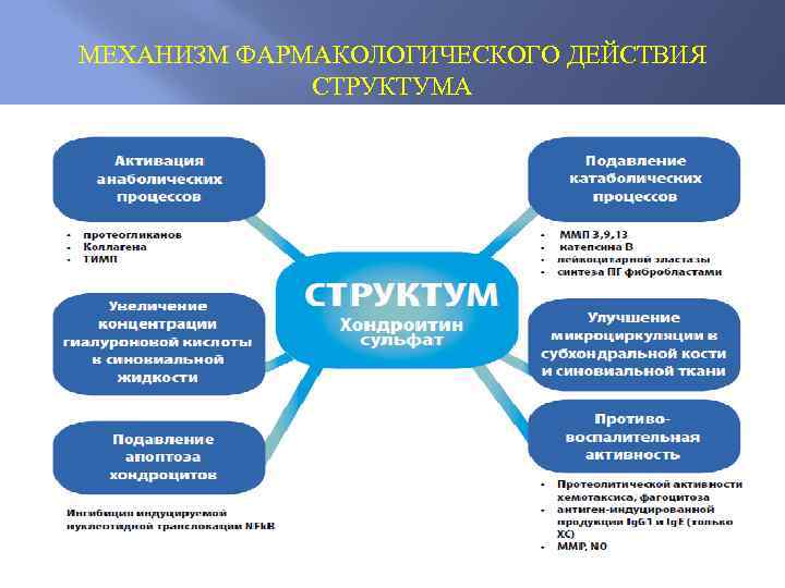 МЕХАНИЗМ ФАРМАКОЛОГИЧЕСКОГО ДЕЙСТВИЯ СТРУКТУМА áпротеогликанов áКоллагена áТИМП Увеличение концентрации гиалуроновой кислоты в синовиальной жидкости