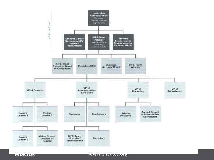Линейная орг. структура www. enactus. org 