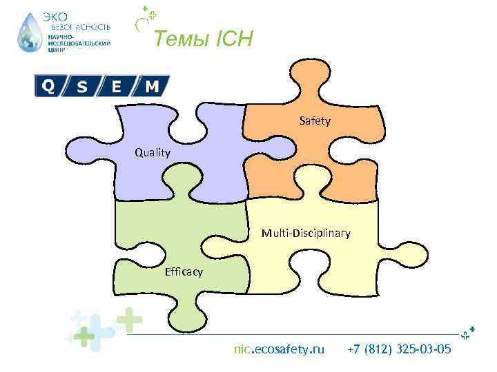 Темы ICH Safety Quality Multi-Disciplinary Efficacy nic. ecosafety. ru +7 (812) 325 -03 -05