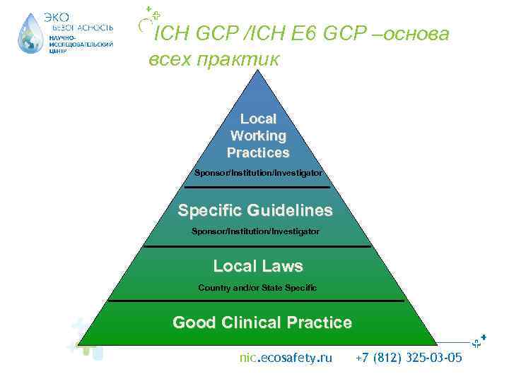 ICH GCP /ICH E 6 GCP –основа всех практик Local Working Practices Sponsor/Institution/Investigator Specific