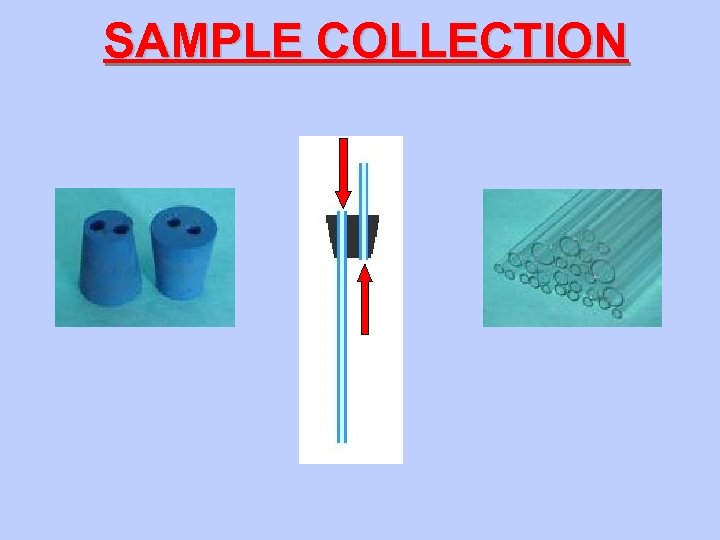 SAMPLE COLLECTION 