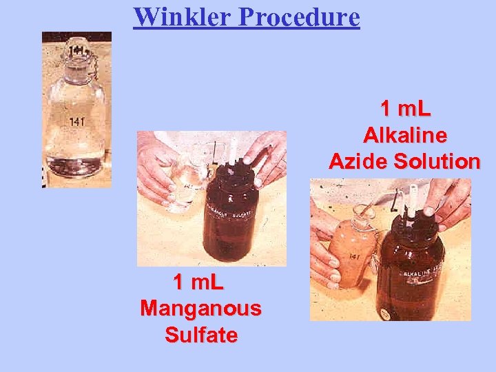 Winkler Procedure 1 m. L Alkaline Azide Solution 1 m. L Manganous Sulfate 
