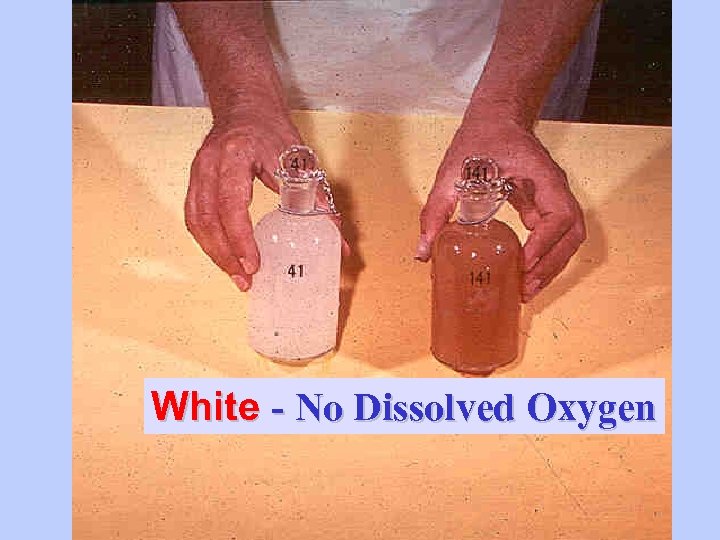 White - No Dissolved Oxygen 
