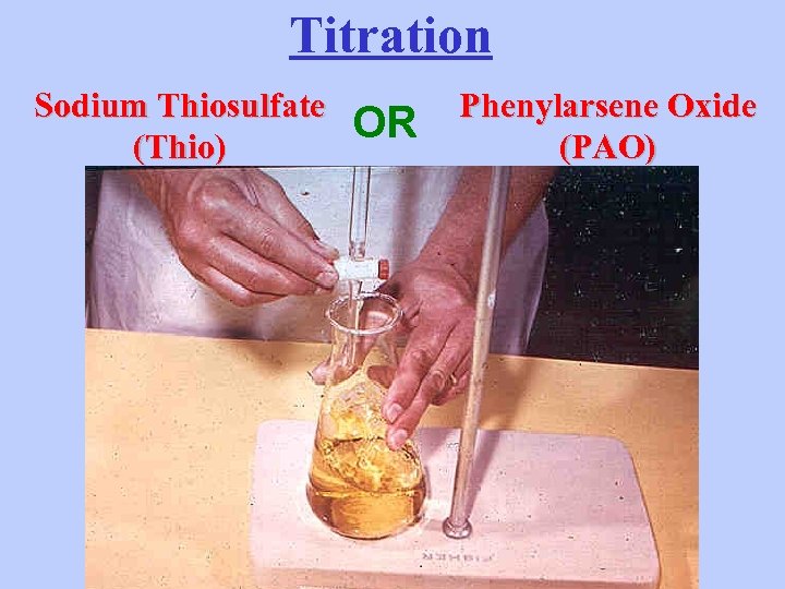 Titration Sodium Thiosulfate (Thio) OR Phenylarsene Oxide (PAO) 